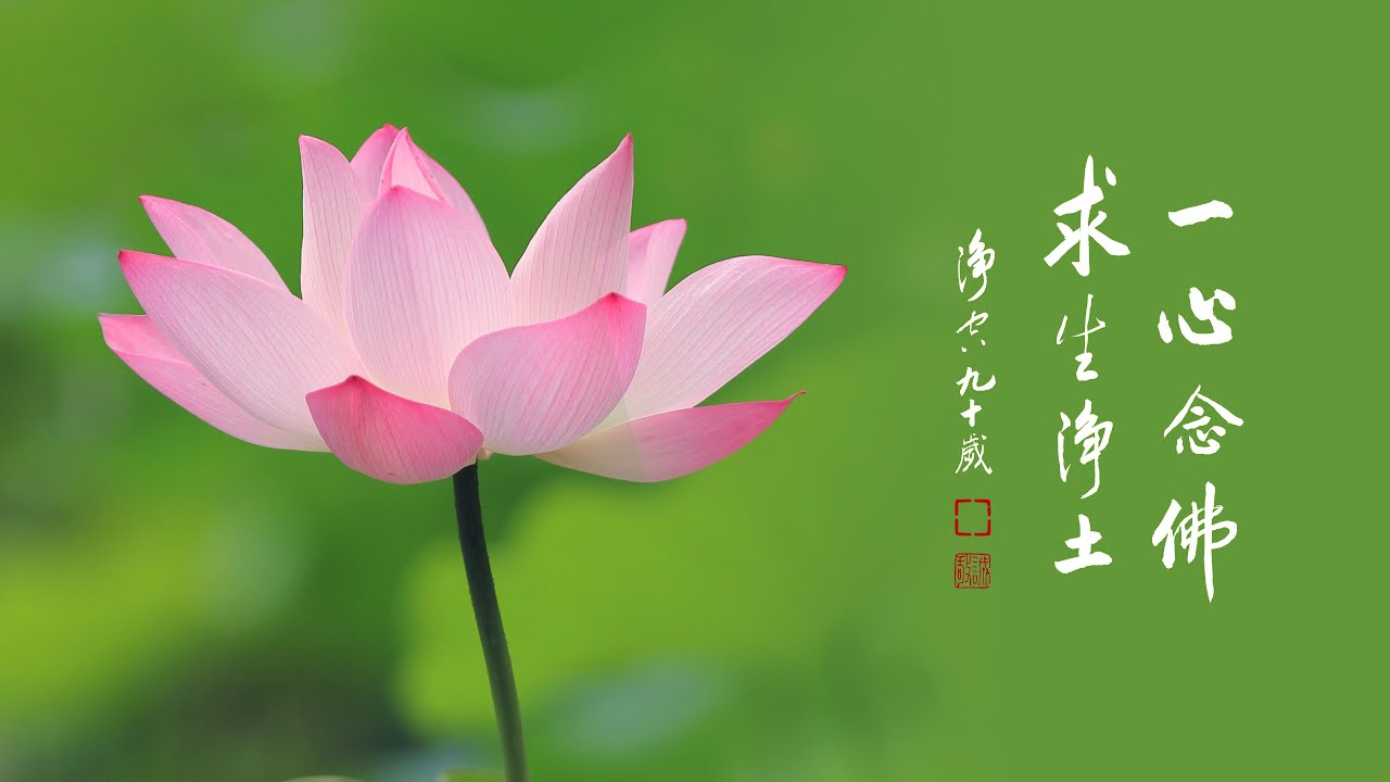 上海蓮友往生記